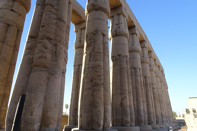 Grand Colonade At Luxor Temple