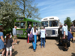 East Dereham Bus Rally - 12 May 2024 (P1180281)