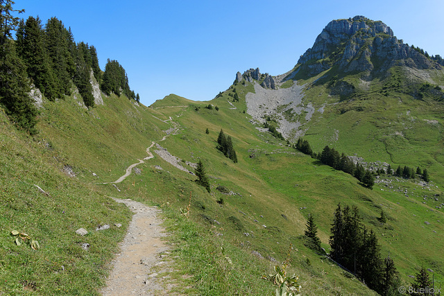 Wanderweg auf der Schynigen Platte (© Buelipix)