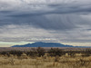 The Huachuca Mountains