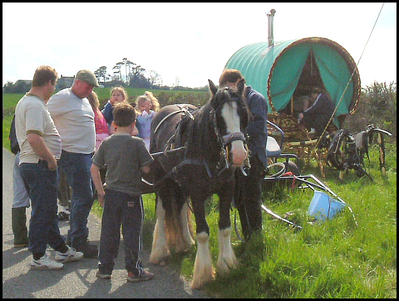 traveller family