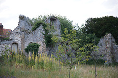 Ruins Of The Old Friary