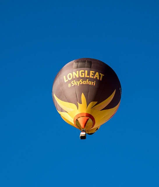 Albuquerque balloon fiesta17