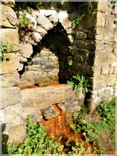 La fontaine d'eau ferrugineuse