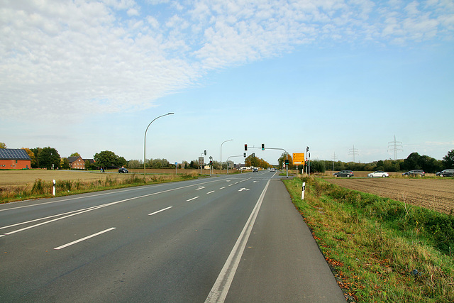 Hammer Straße (Werne-Stockum) / 13.10.2019