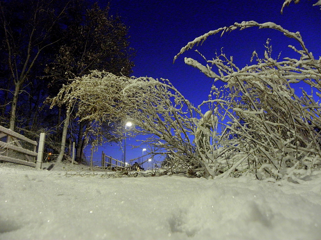 Blue hour HFF