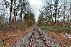 Bahnstrecke Haltern–Venlo, Anschlussgleis von RWE (Hervest-Dorsten) / 4.02.2018