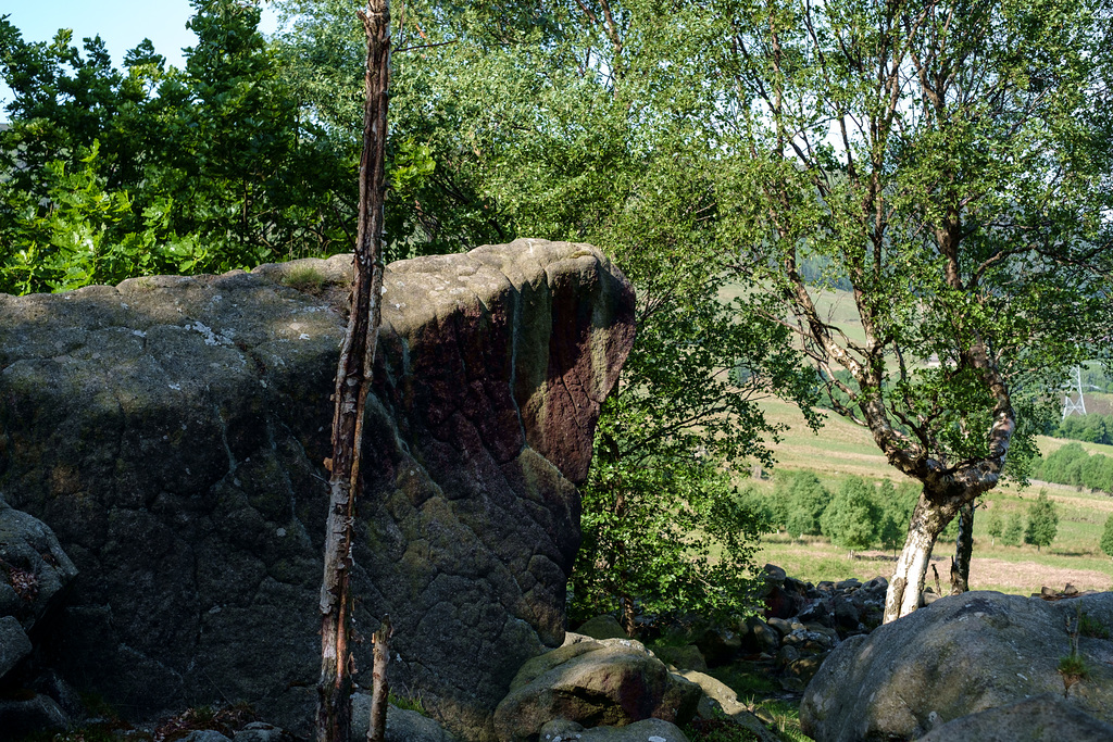 Large rock in Wildboar Clough wood
