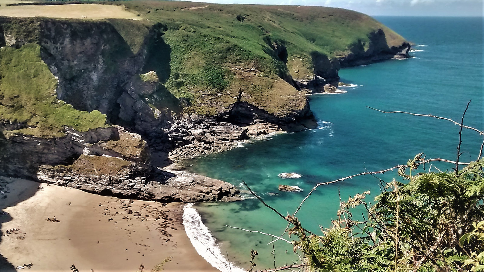 Fishing Cove and The Knavocks.