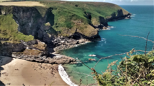 Fishing Cove and The Knavocks.