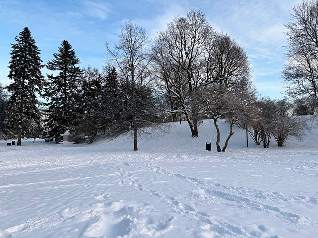 Frognerparken