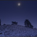 Moonlight Hill