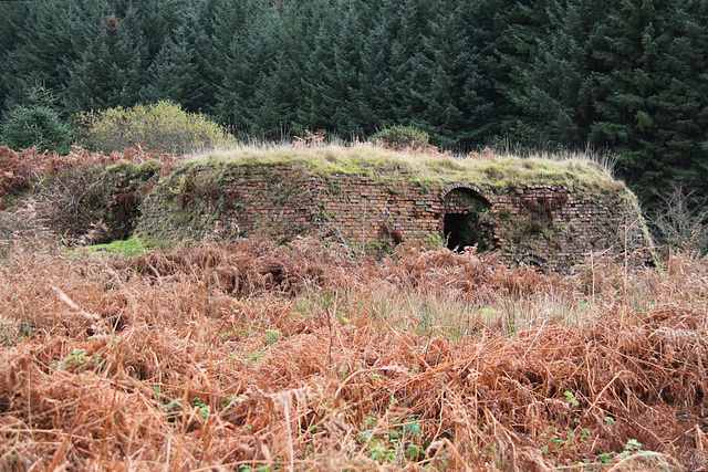 Bryn Brickworks Kiln