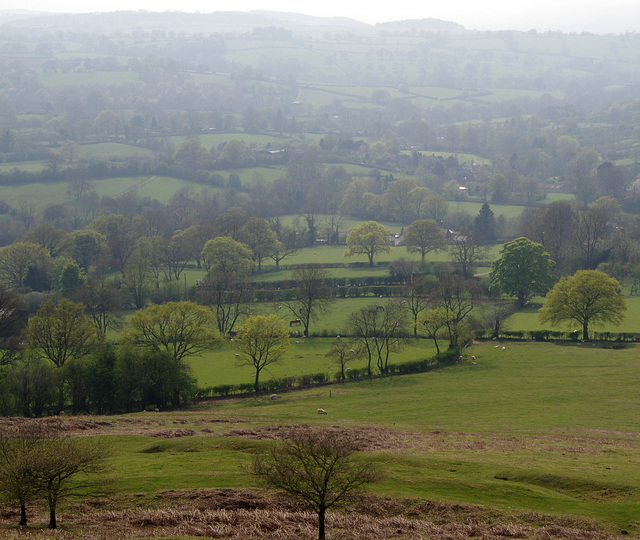 Shropshire