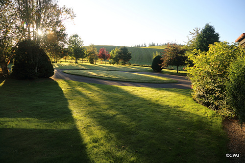 Early morning Sunshine and Shadows