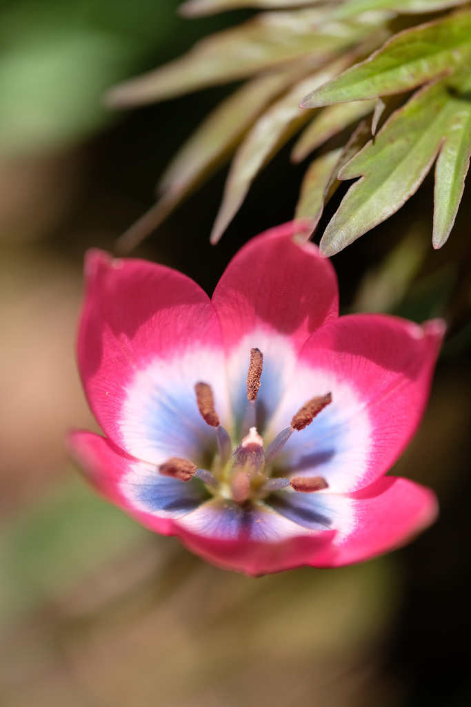 DSCF5066
