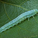 DSC01222
