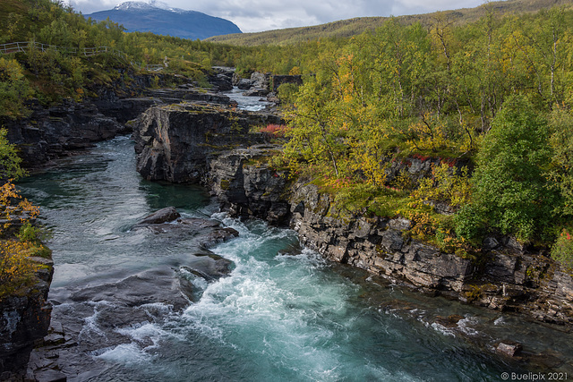 entlang dem Abisko Canyon (© Buelipix)