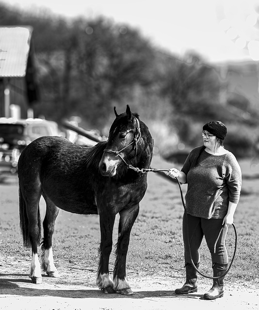 20240331_cooper ranch südharz (d200)