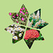 Bornholmer Blumen