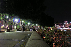 Southbank At Night