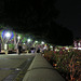 Southbank At Night