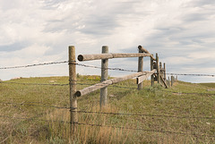 intersecting fences