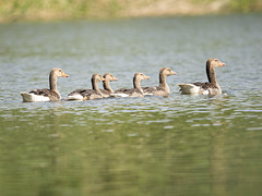 Familienausflug