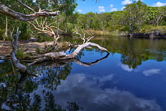 Where peaceful rivers flow