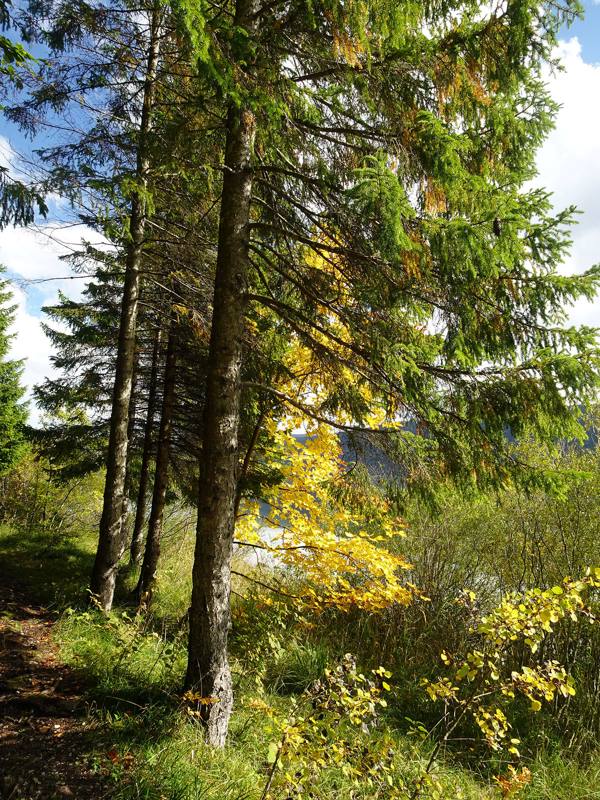 Herbstliche Farbpalette