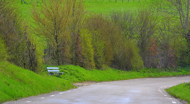 (Hbm) Lonely green