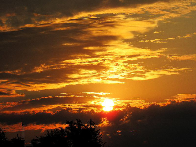 Sunlevigxo