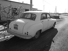 Dodge 1952 à Ramon