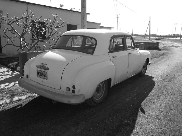 Dodge 1952 à Ramon