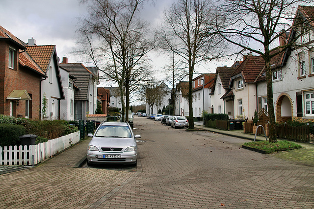 Glückauf-Siedlung (Bochum-Hamme) / 14.01.2019