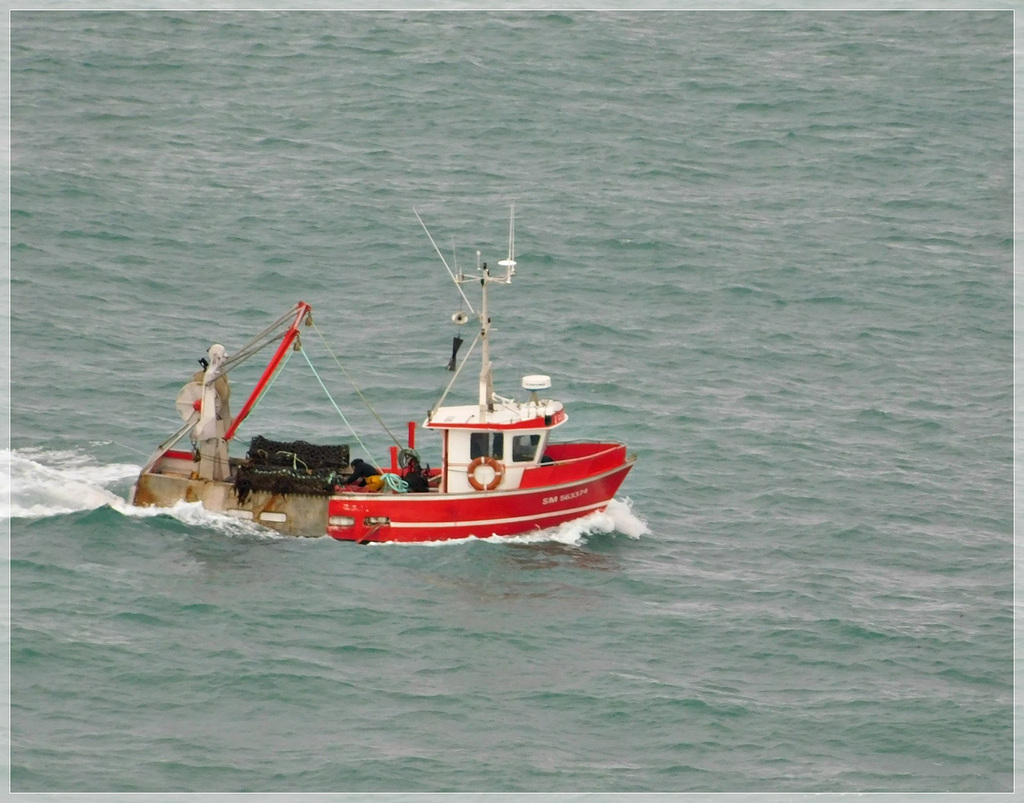 Vue depuis le cap Fréhel (22): Retour de pêche à la coquille Saint Jacques en Baie de Saint Brieuc