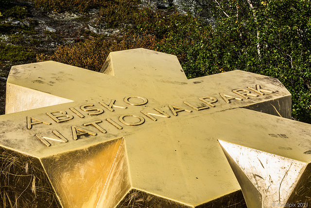 im Abisko-Nationalpark (© Buelipix)