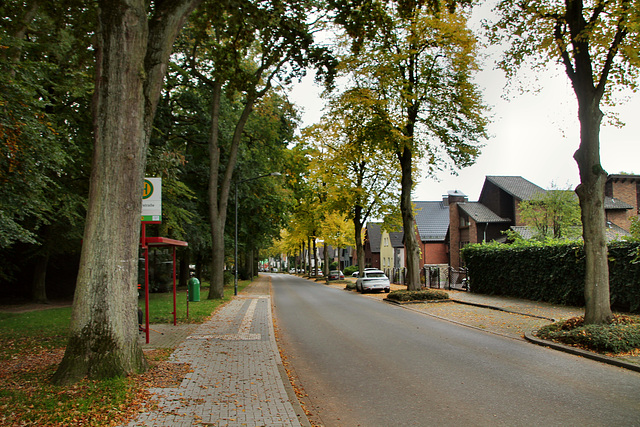 Jägerstraße (Herten) / 17.10.2020