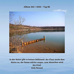 Album 365 / 2022 - Tag 88.