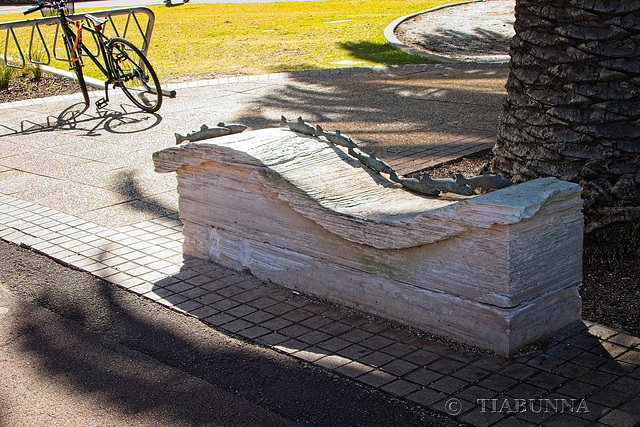 A rather fishy bench