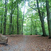 Am Fuchsberg