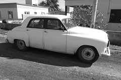 Ramon's Dodge 1952