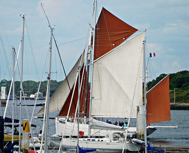 le biche rentre au port