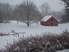 Red Swing in the Snow.