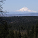 Mount Hood