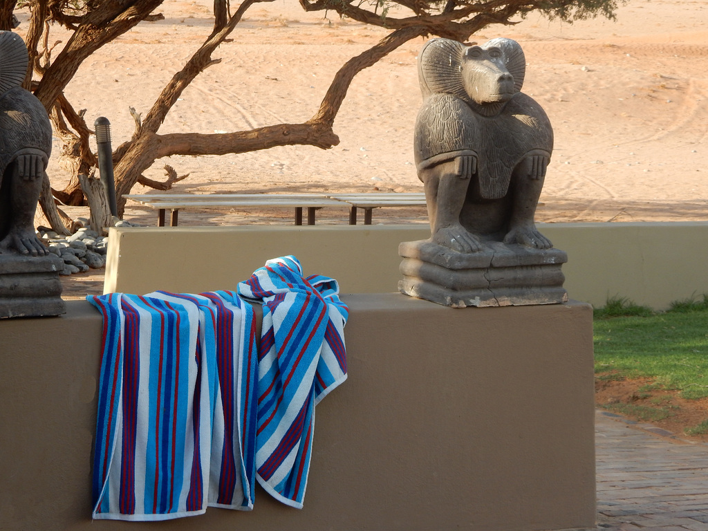 guardian of the beach towel