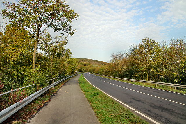 Am Lausbach (Hamm-Bockum-Hövel) / 13.10.2019