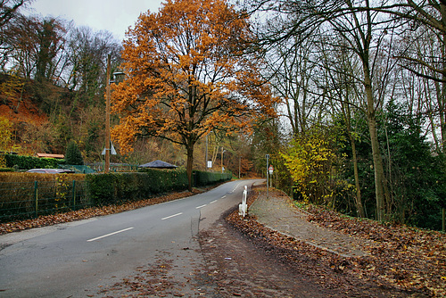 Stauseebogen (Essen-Heisingen) / 1.12.2019