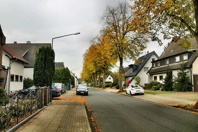 Waldstraße (Herten) / 17.10.2020