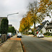 Waldstraße (Herten) / 17.10.2020